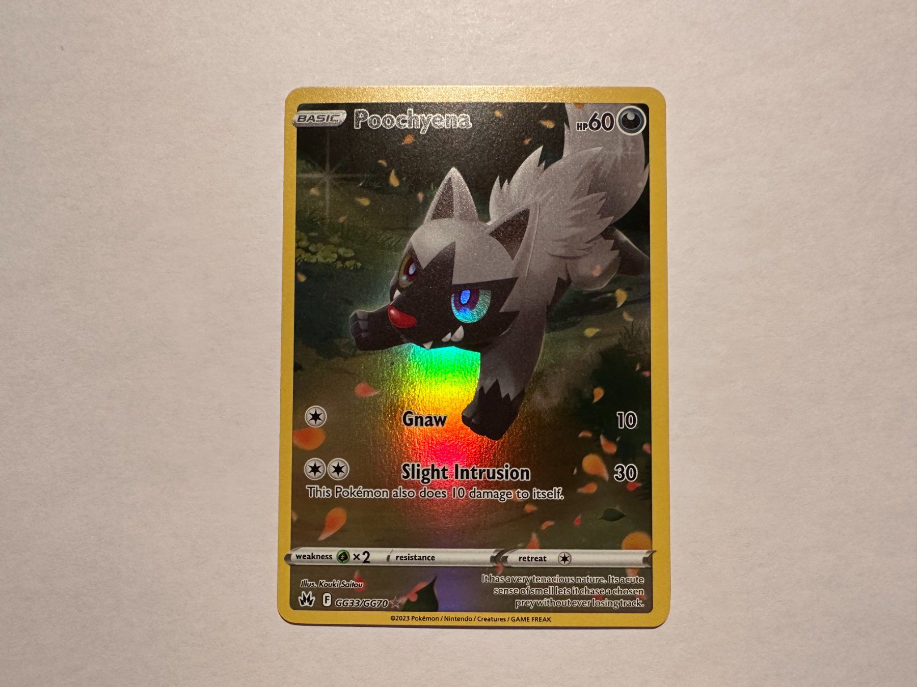 Pokémon Carte collezionabili: Poochyena Fullart Crown Zenith EN – Nuovo (secondo la descrizione) da Hagendorn venduto da Pokecollectorch 1