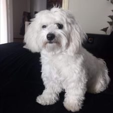 Profile image of Stellaleo