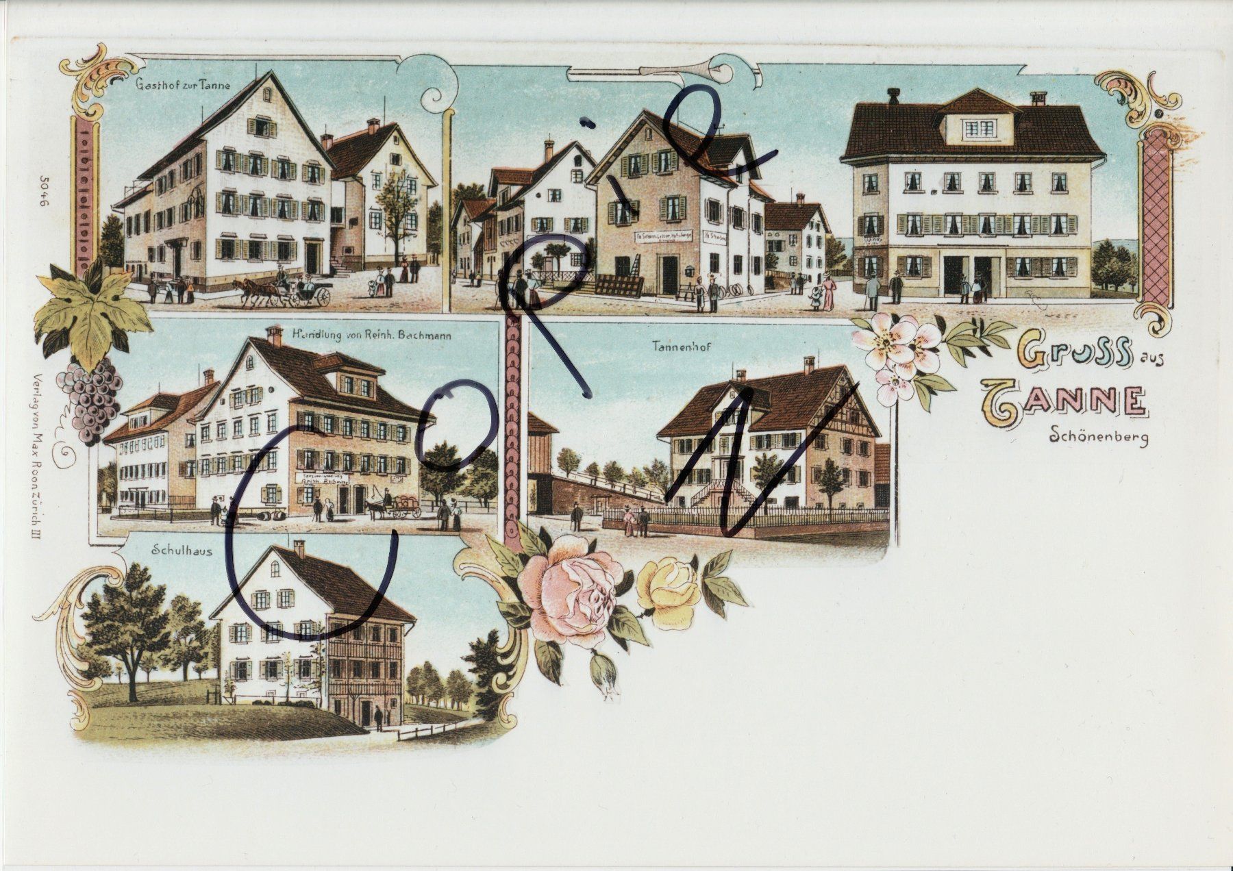 Cartoline postali: Gruss aus Tanne, Schönenberg – Usato da Fällanden venduto da Blausegelfliege