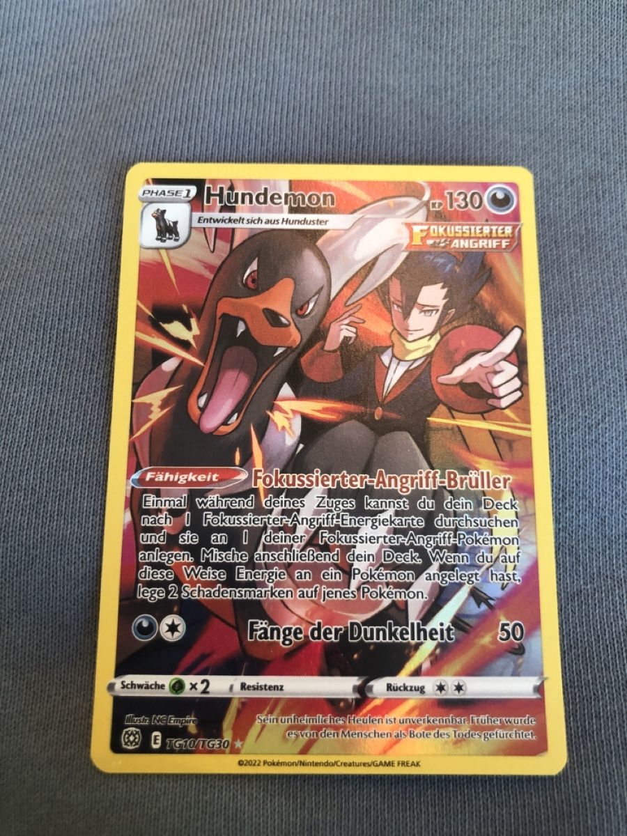 Pokémon Carte collezionabili: Hundemon TG10/TG30 2022 – Nuovo (secondo la descrizione) da Sissach venduto da Quentinfoggetta