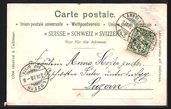Cartoline postali: Lithographie St. Moritz, Panorama, 1900 – Usato da Berlin venduto da bartko-reher 1