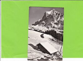 Bergbahn Grindelwald-First