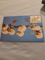 Carte postale rare Bophuthatswana 1992 - Fleurs d'hiver
