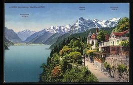 Seelisberg, Waldhaus Rütli, Alpenpanora
