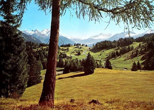 Ansichtskarten: LENZERHEIDE Blick auf Sporz-Davains – Gebraucht aus Jona von philajona