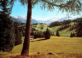 LENZERHEIDE Blick auf Sporz-Davains