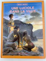 Une luciole dans la ville de Vink, BD Dargaud