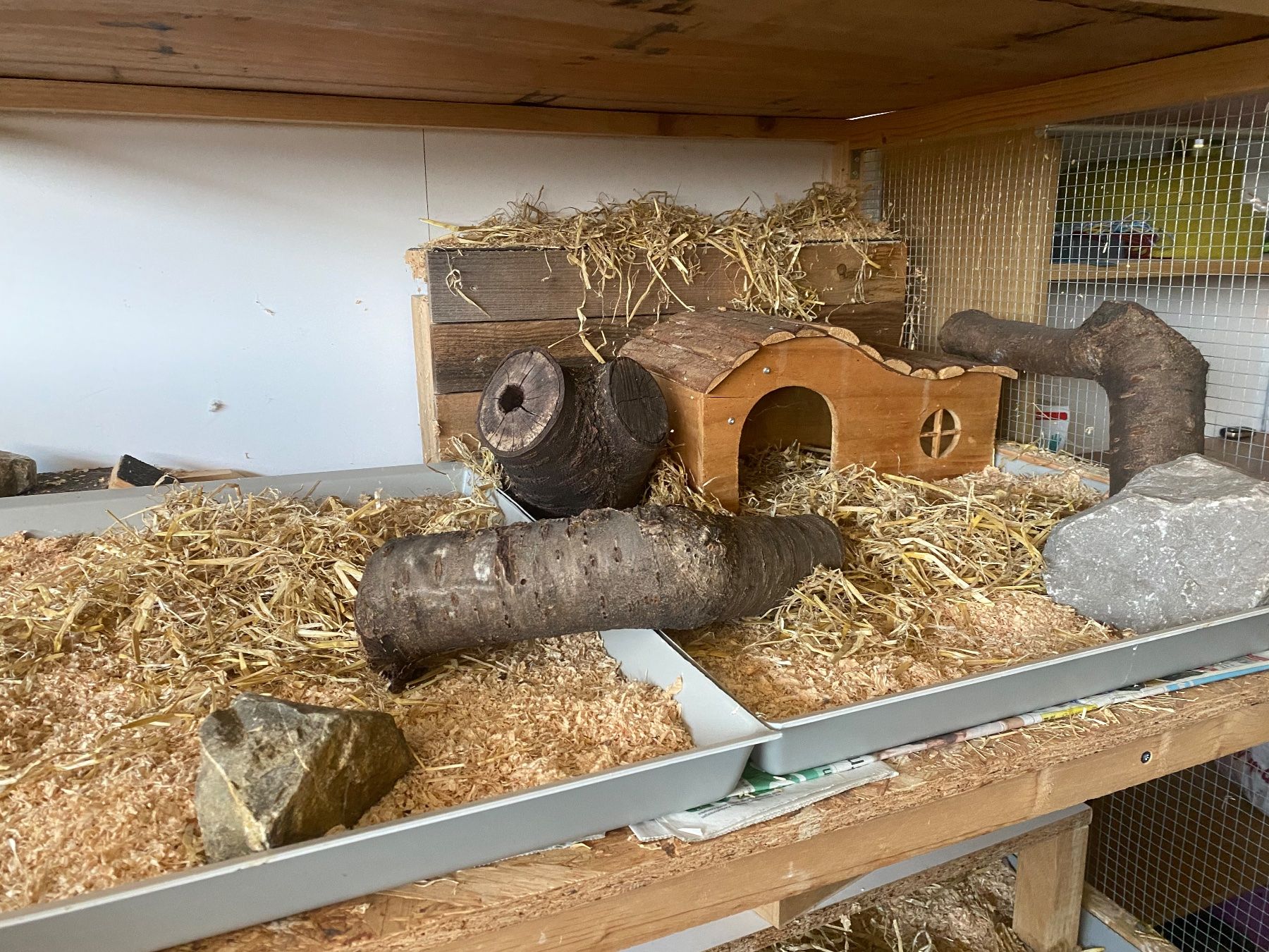 Gabbie, trasporto & Sicurezza: Grosser Kleintierkäfig / Stall / Gehäge – Usato da Matzendorf venduto da Monobike1 5