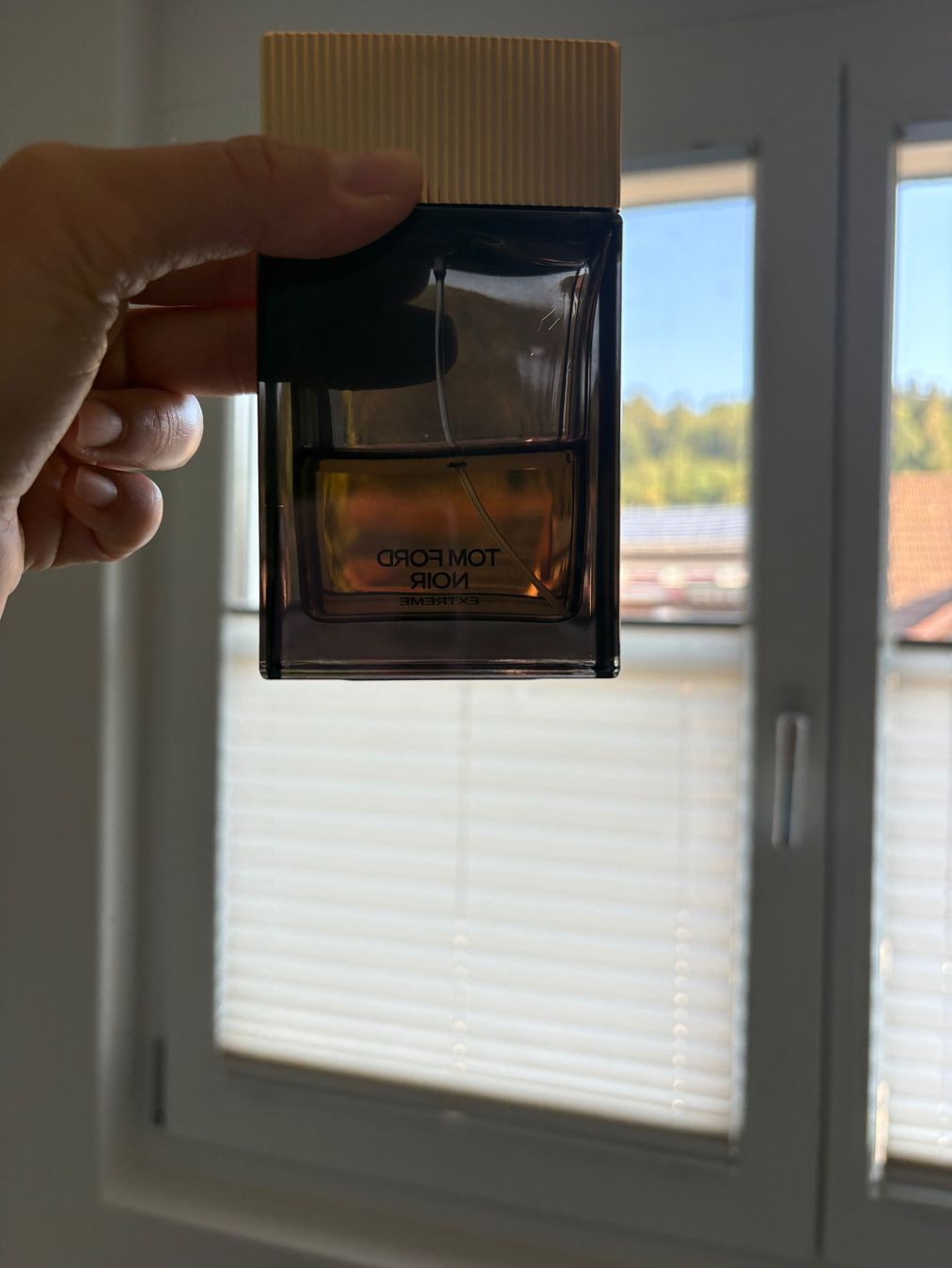 Tom Ford Profumi & Eau de Toilette: Tom Ford Noir Extreme ca 40ml – Usato da Züberwangen venduto da biene_83 2