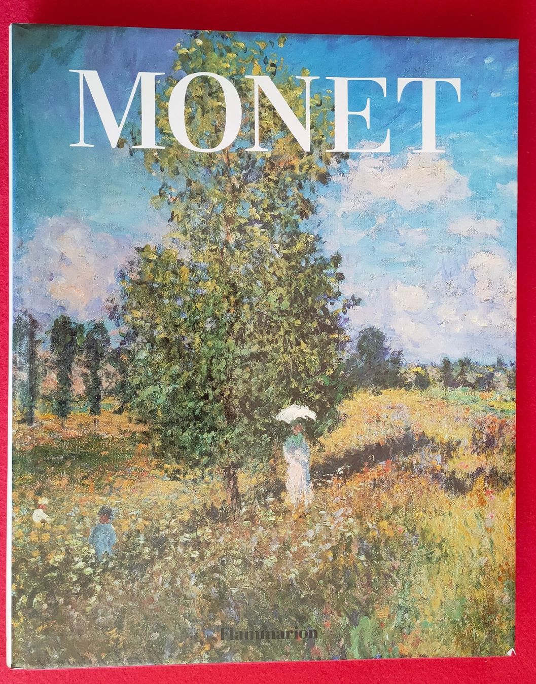 Bücher: Monnet – Gebraucht aus Crans-Montana von Camphill
