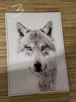 Bild Wolf