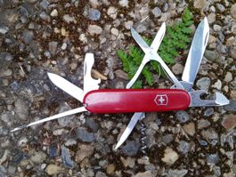 Sackmesser VICTORINOX Sammlermesser Couteau alt selten rar