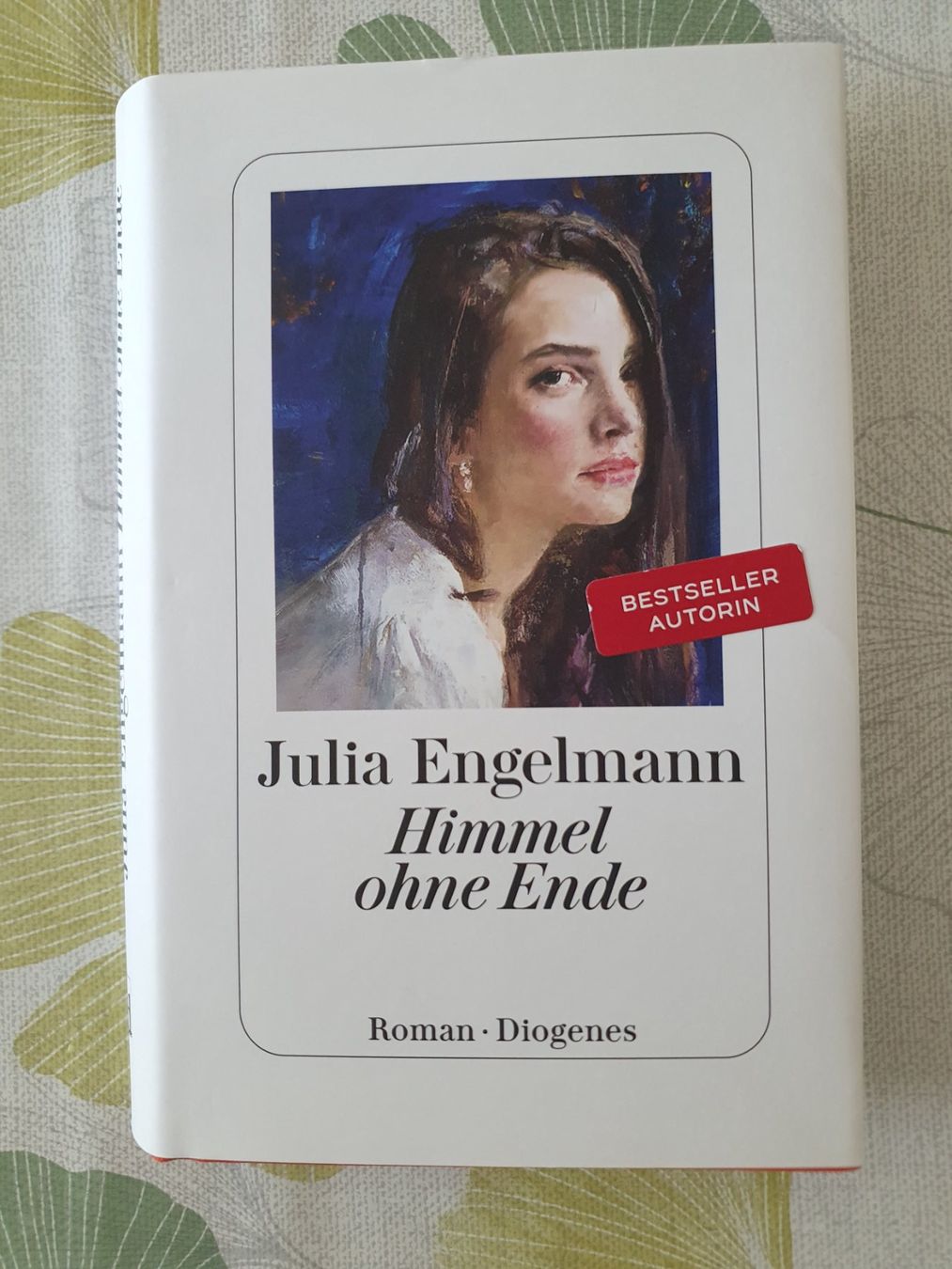 Libri: Julia Engelmann Himmel ohne Ende Roman – Usato da Winterthur venduto da Natascha_1994