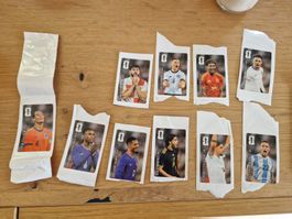 Panini Sticker coca cola