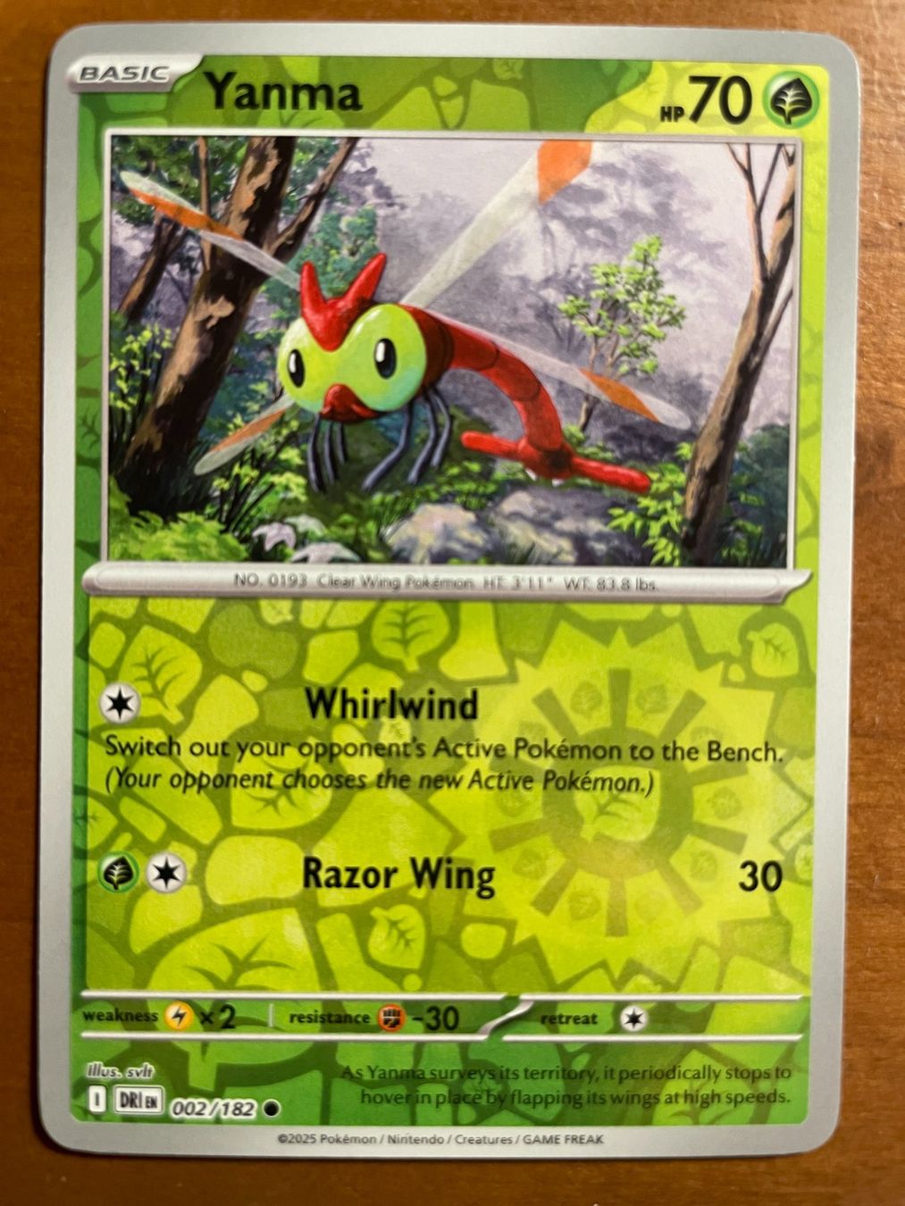 Pokémon Carte collezionabili: Pokemon Yanma Reverse (Versand gratis) – Nuovo (secondo la descrizione) da Chur venduto da Angerson