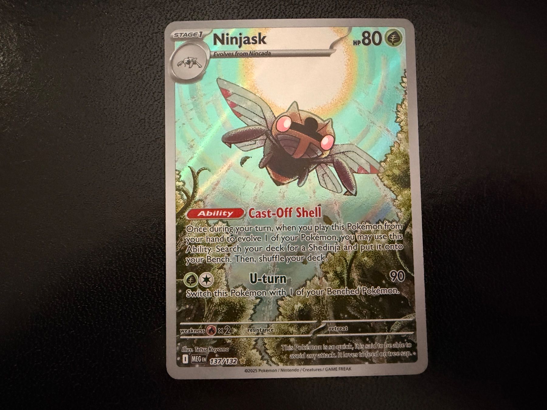 Pokémon Carte collezionabili: Ninjask 137/132 Mega Evolution MEG NM EN – Nuovo (secondo la descrizione) da Luzern venduto da haeppel83