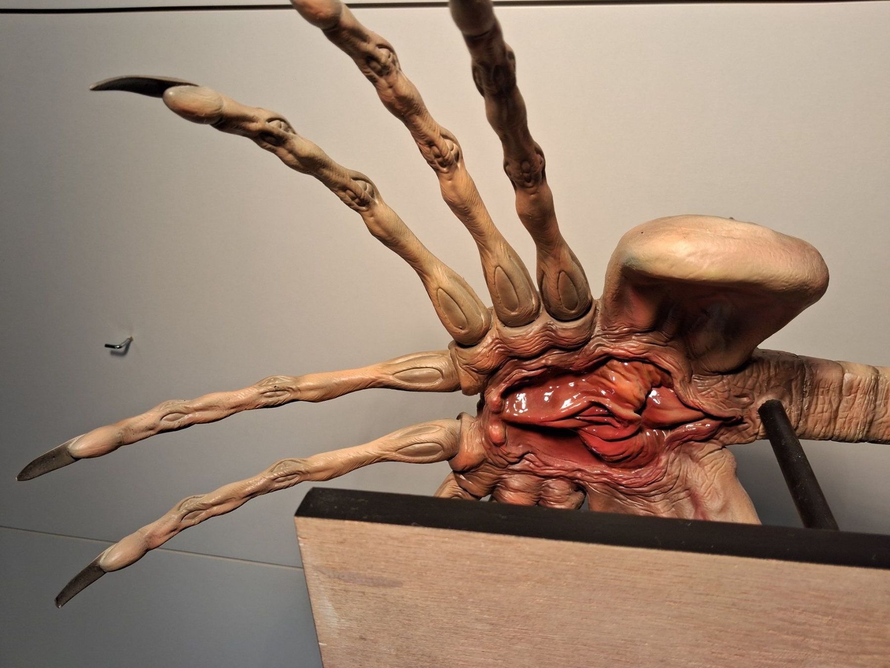 Figurines: Alien -Facehugger – D'occasion à Gretzenbach par chr_bxh5 6