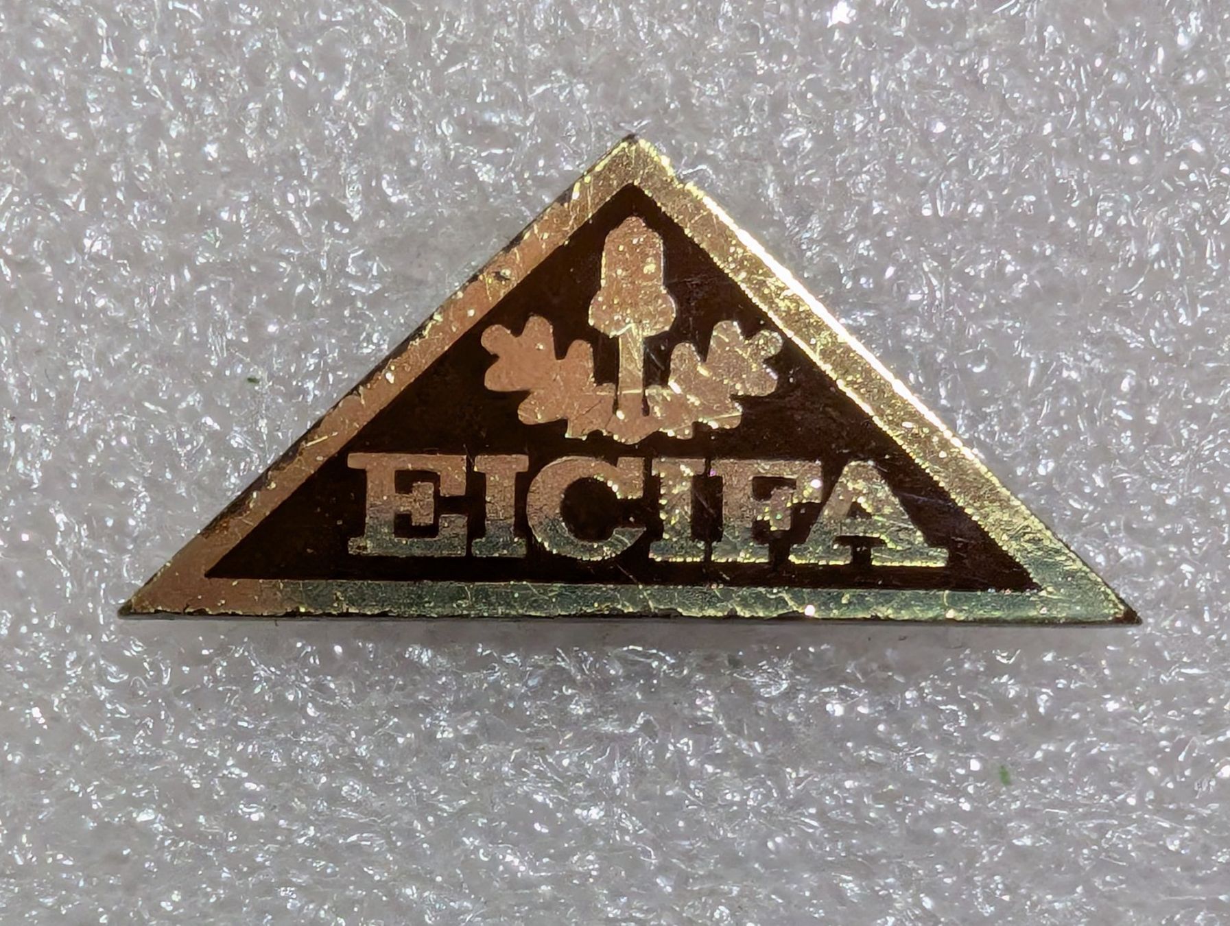 Plaketten & Abzeichen: Ansteckpin 281: Eicifa – Gebraucht aus Oppligen von Pin-Fall-Shop
