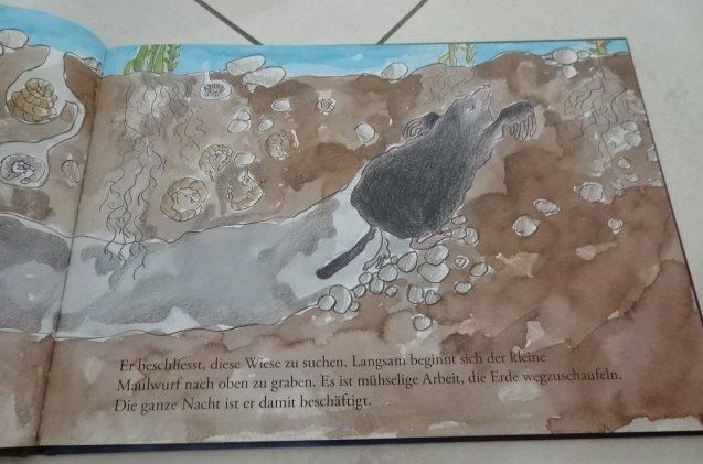 Libri: Kinderbuch Keine Angst kleiner Maulwurf – Usato da Wetzikon ZH venduto da strubeli024 1