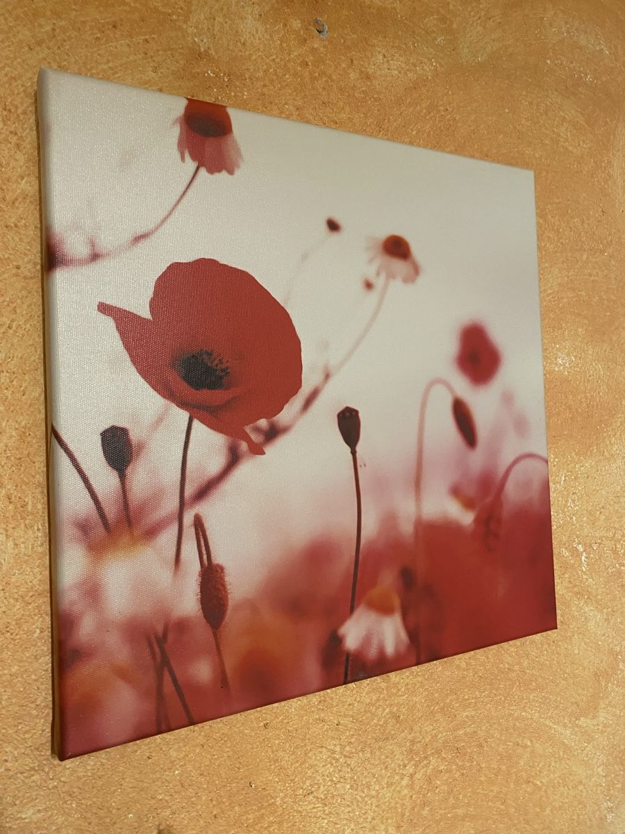 Poster & Bilder: Bild mit Mohnblumen – Gebraucht aus Wiesendangen von argon03 1