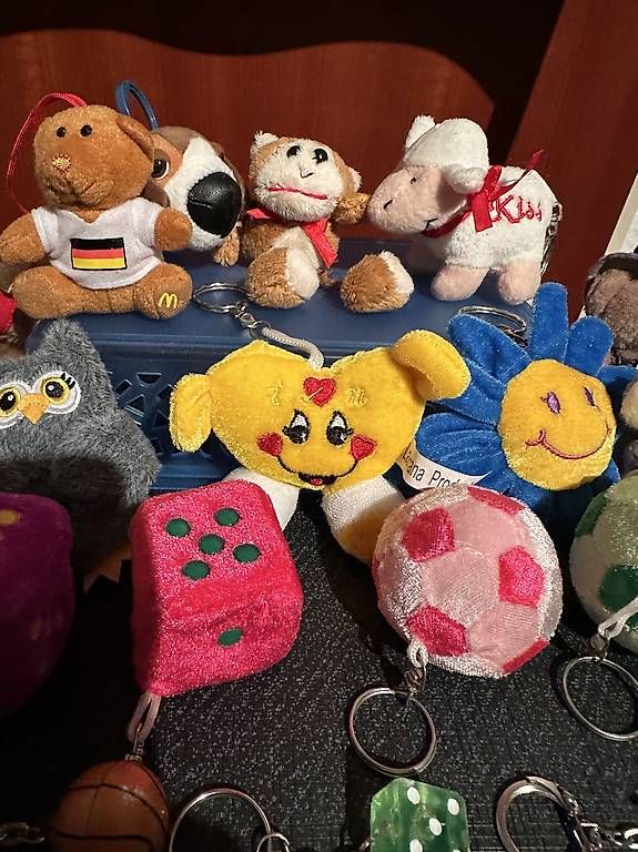 Porte-clés: Diverse Schlüssel Anhänger – D'occasion à Therwil par jas_vpt8 2