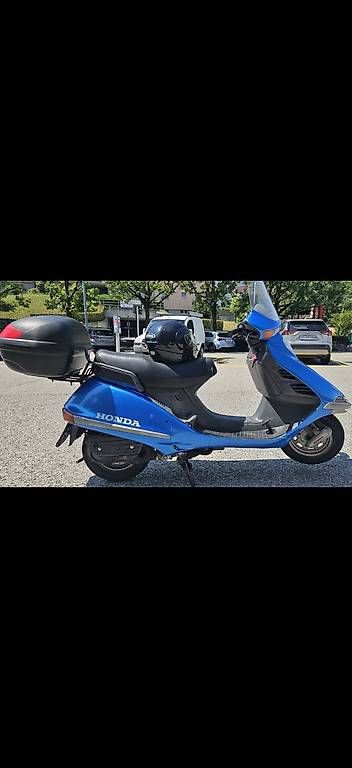 Strasse: HONDA SPACY 125 – Gebraucht aus Breganzona von ald_7kkb 1