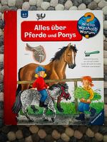 Wieso, weshalb, warum: Pferde und Ponys