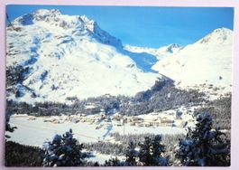 St. Moritz - Champfèr 1800 m ü.M.