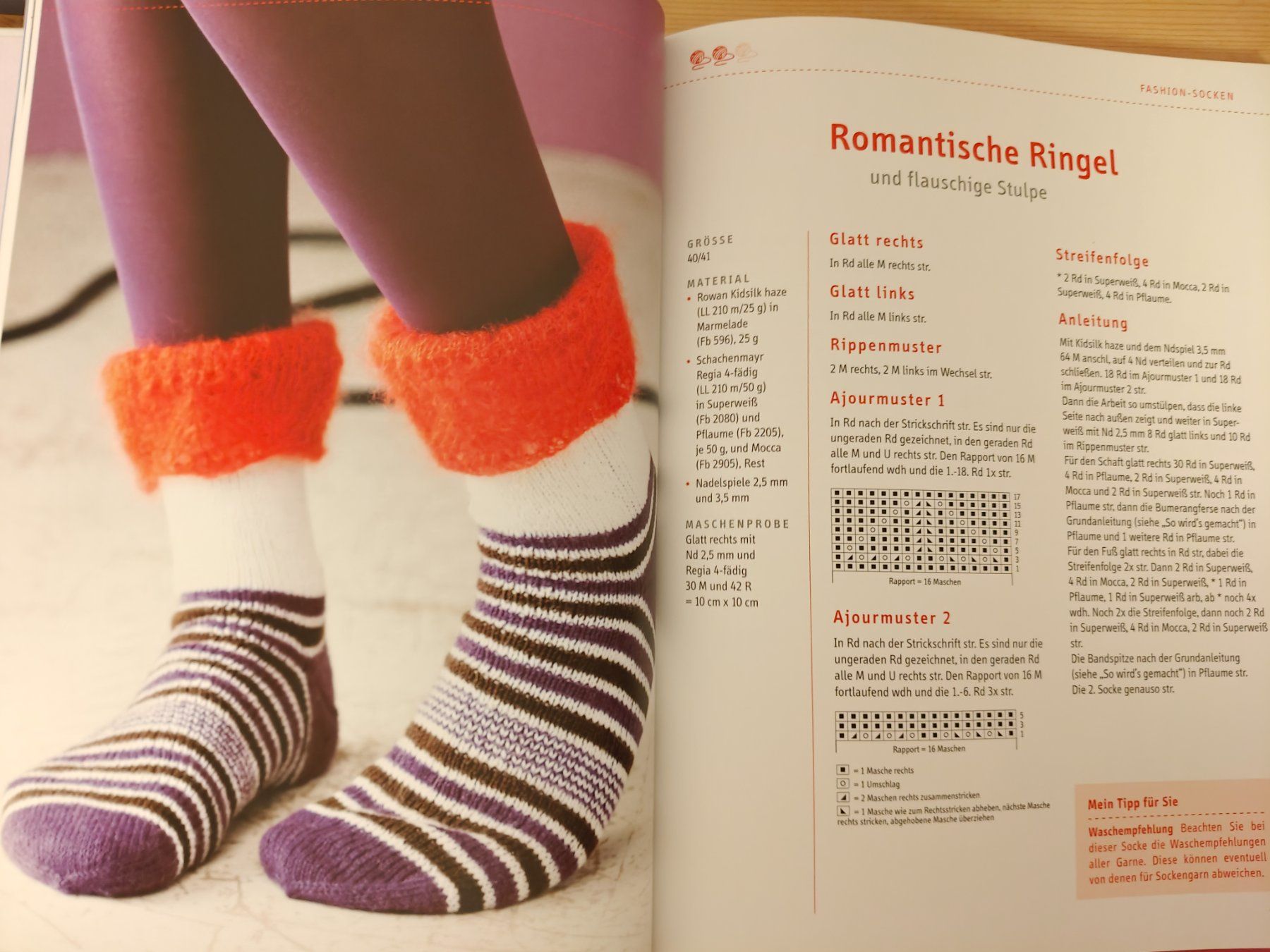 Bücher: Das grosse Sockenbuch / Topp 2013 - 45 tolle Designs – Gebraucht aus Muttenz von Negnuja 2