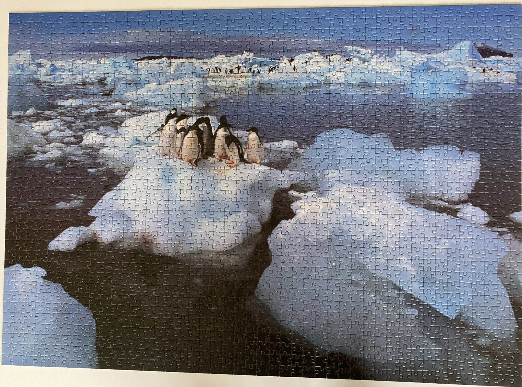 Ravensburger Puzzles: Puzzle – Gebraucht aus Reinach BL von Sanaya