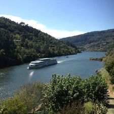 Profile image of LAMEGO