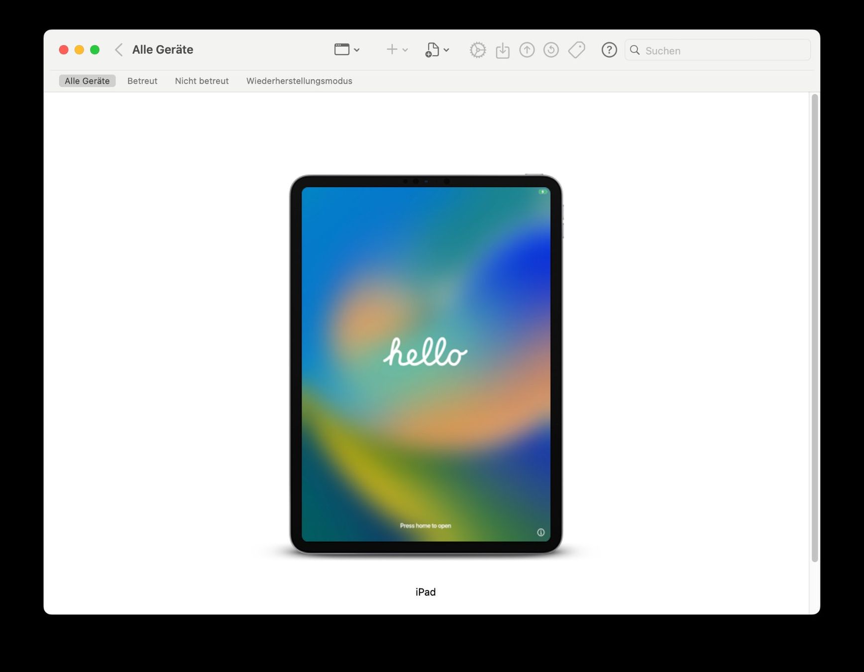 Apple Tablet PC: iPad Pro 12.9" 3. Generation WiFi+Cellular / 256GB / DEFEKT – Difettoso da Meisterschwanden venduto da Discus0 2