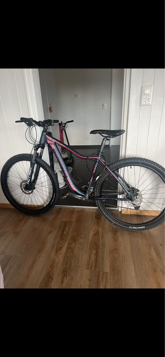 Velos: Bon velo – Gebraucht aus Biel/Bienne von zah_n57l 3