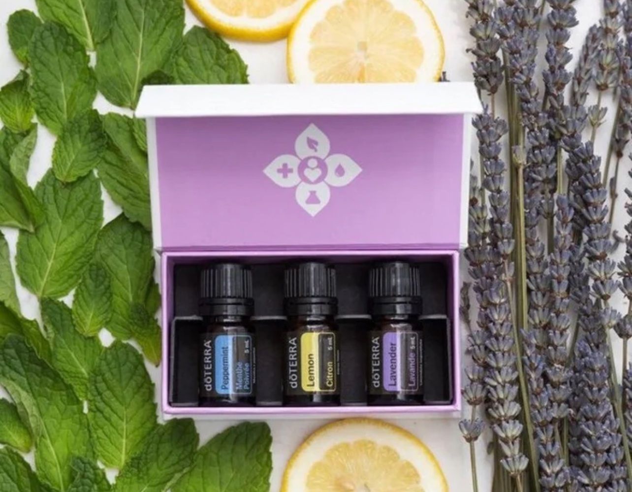 Doterra Ätherische Öle: Huile essentielle DoTerra " KIT INTRODUCTORY " , neuve – Neu und originalverpackt aus Arbedo von nadia1973 2