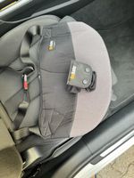 BeSafe Schwangerschaftsgurt