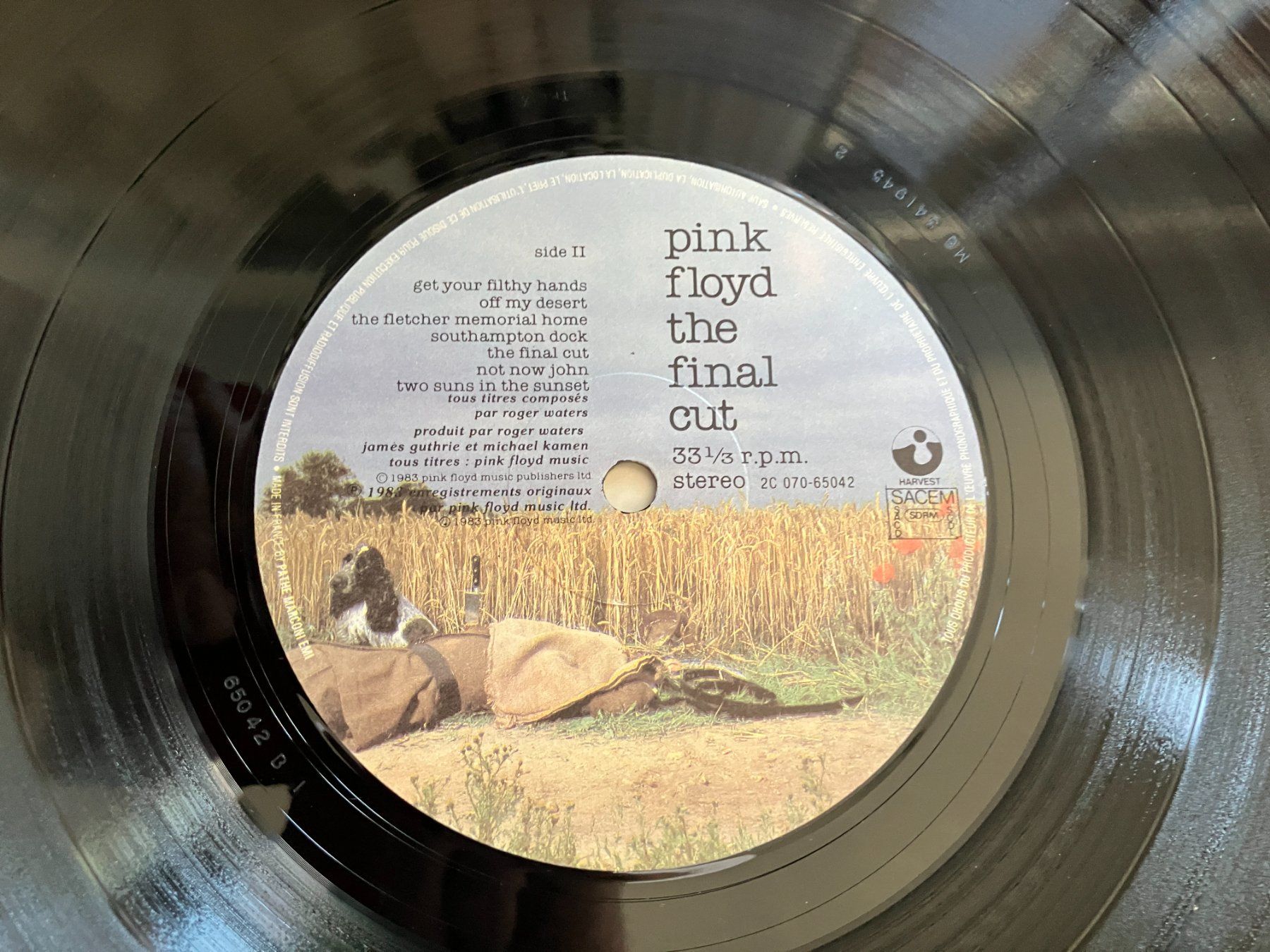 Dischi in vinile: Pink Floyd – Usato da Aarwangen venduto da Jukebox3 9