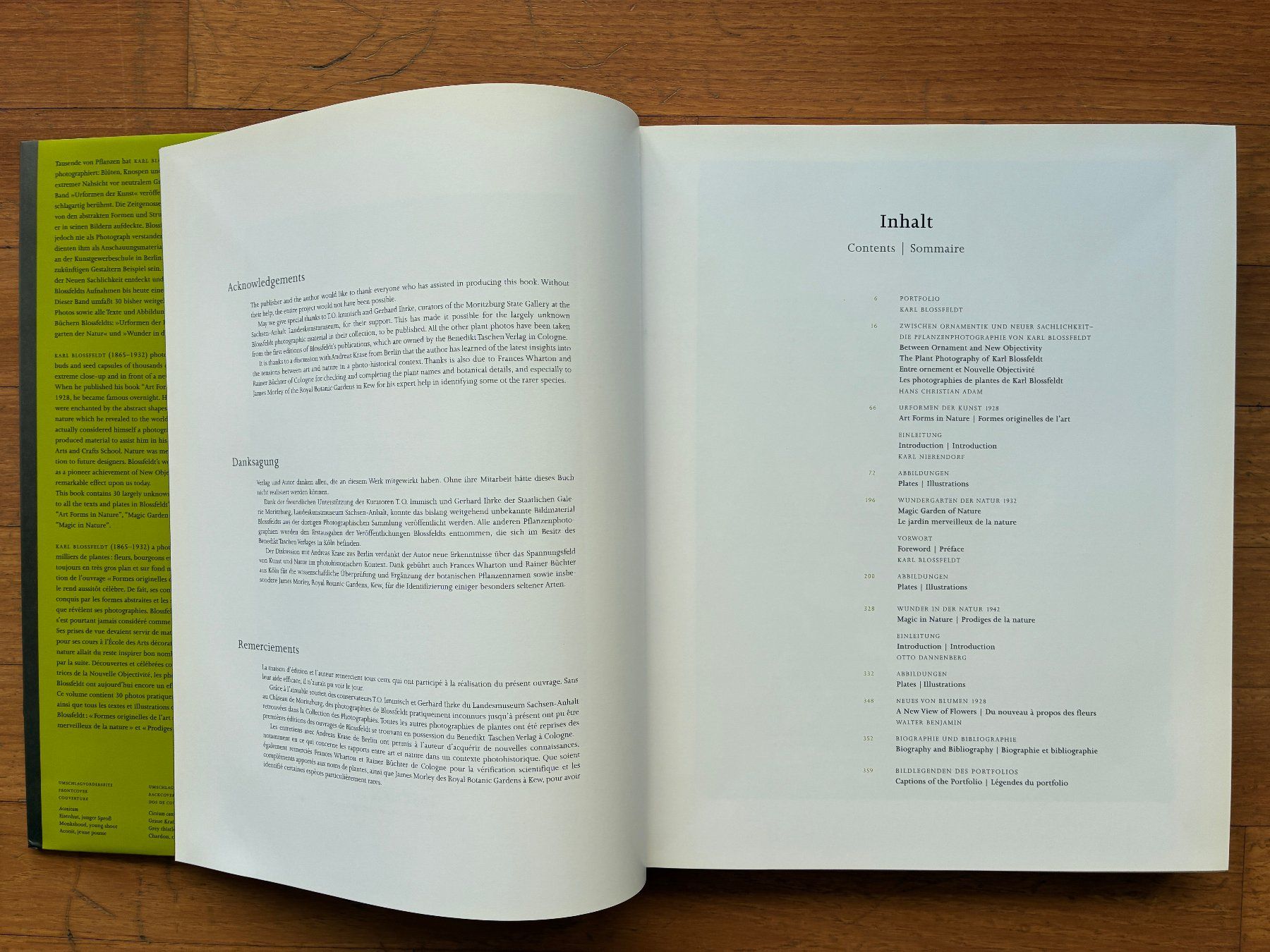 Libri: Photo Buch: KARL BLOSSFELDT – Usato da Lugano venduto da gio.yo 1