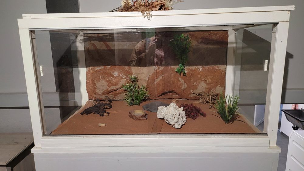 Echsen Terrarium Kaufen auf Ricardo