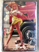 Lkw truck pin up hund