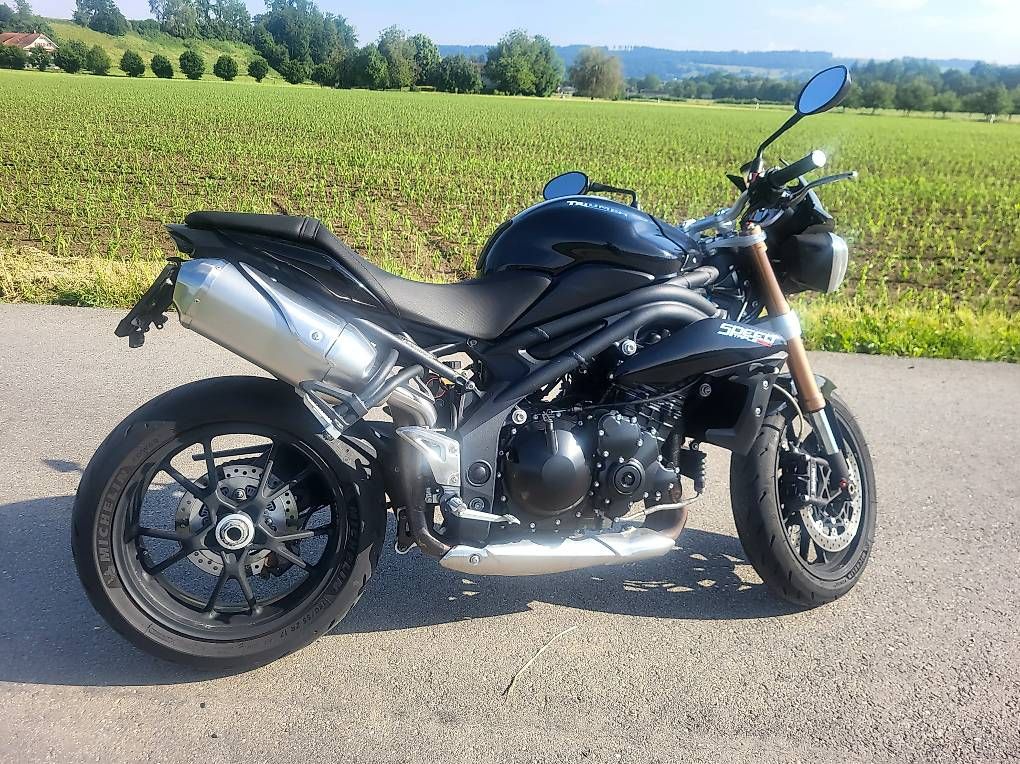Triumph Strada: Triumph Speed Triple ABS – Usato da Ettiswil venduto da Metz2 4