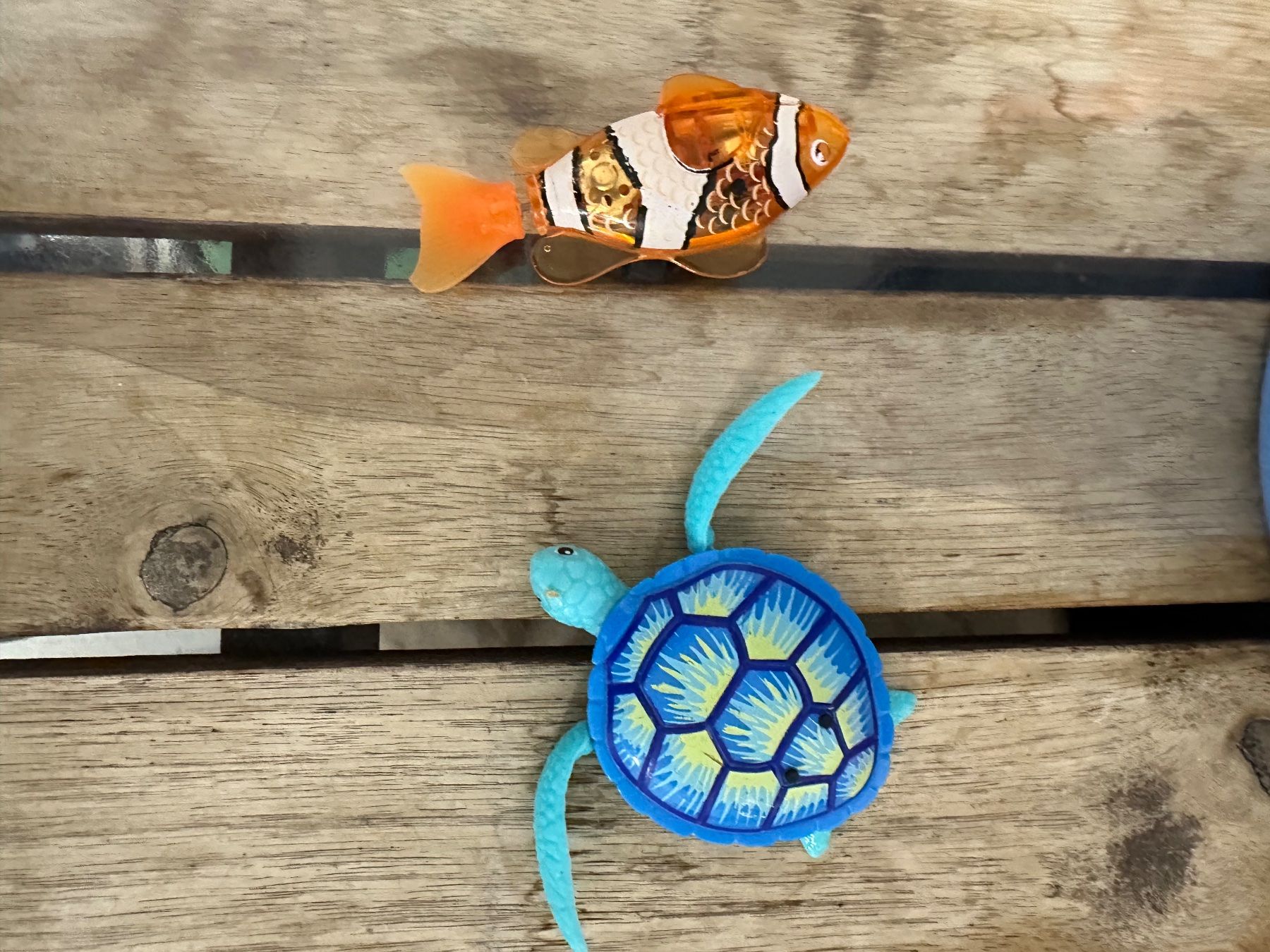 Giochi: Schildkröt Fishing Game – Usato da Kappel am Albis venduto da jus_mqz7 1