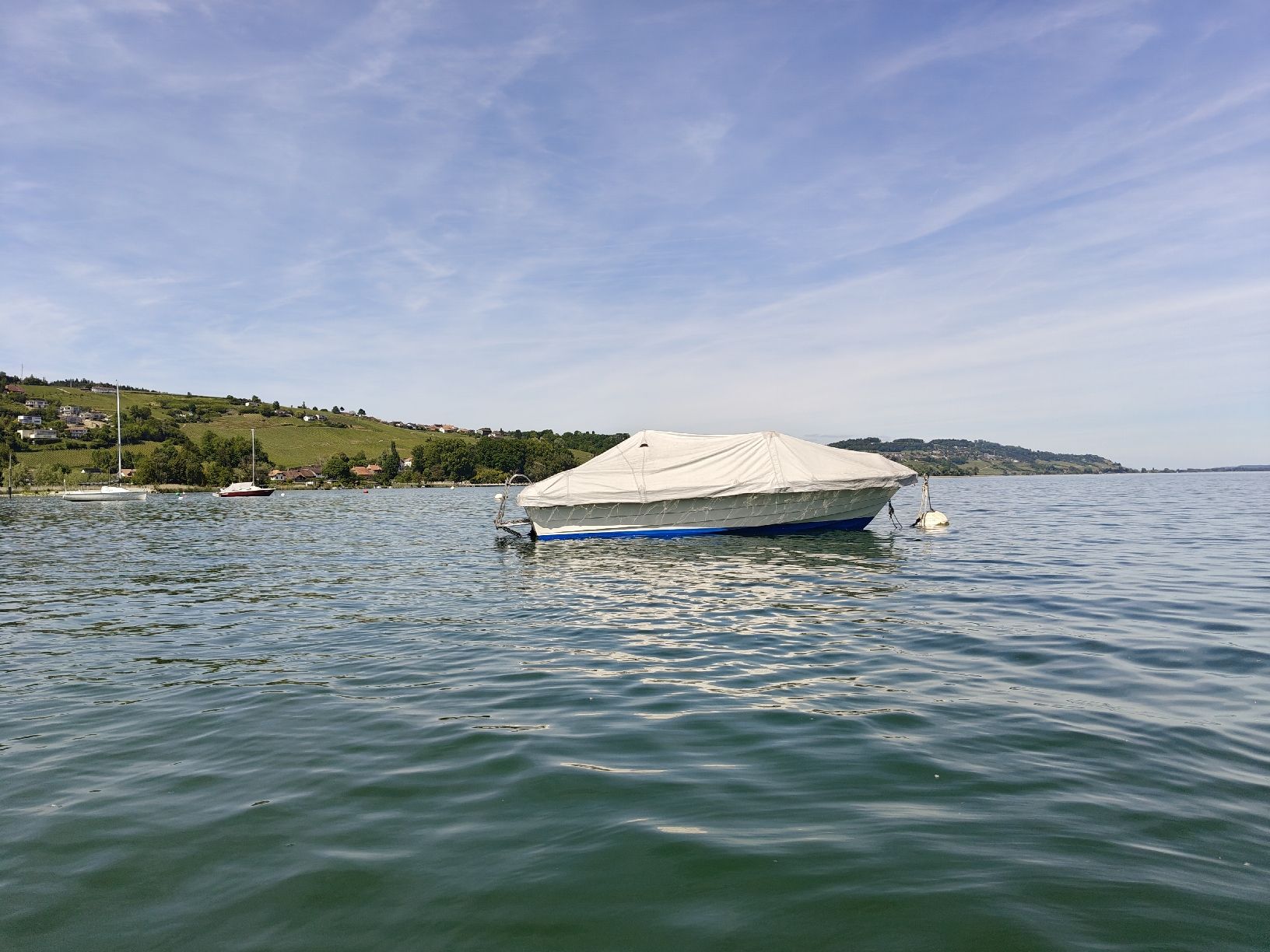 Barche: motorboot mit Bojenplatz und Trailer – Usato da Birsfelden venduto da Konstantin.4127