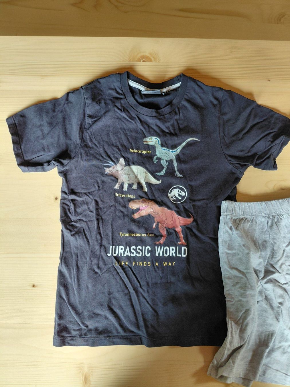 Pigiama & Simili: Pijama Set Jurassic World Gr. 140 – Usato da Turgi venduto da aprilhexxe 2
