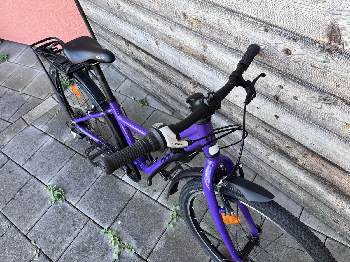 Naloo Biciclette: Naloo 24“ Chameleon – Usato da Salvenach venduto da Niginho89 3