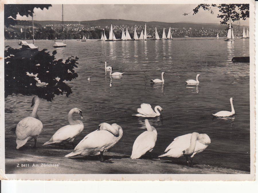 Cartoline postali: Zürich See 1944 – Usato da Bürglen TG venduto da StampGraf