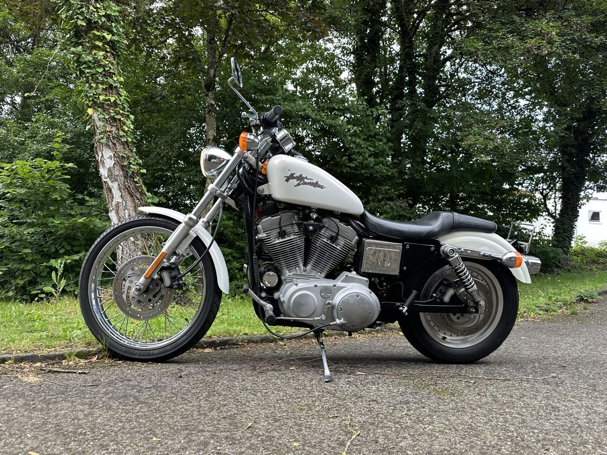 Harley-Davidson Altro: Motorrad Harley 883 – Usato da Aarau venduto da rhe_vdj5