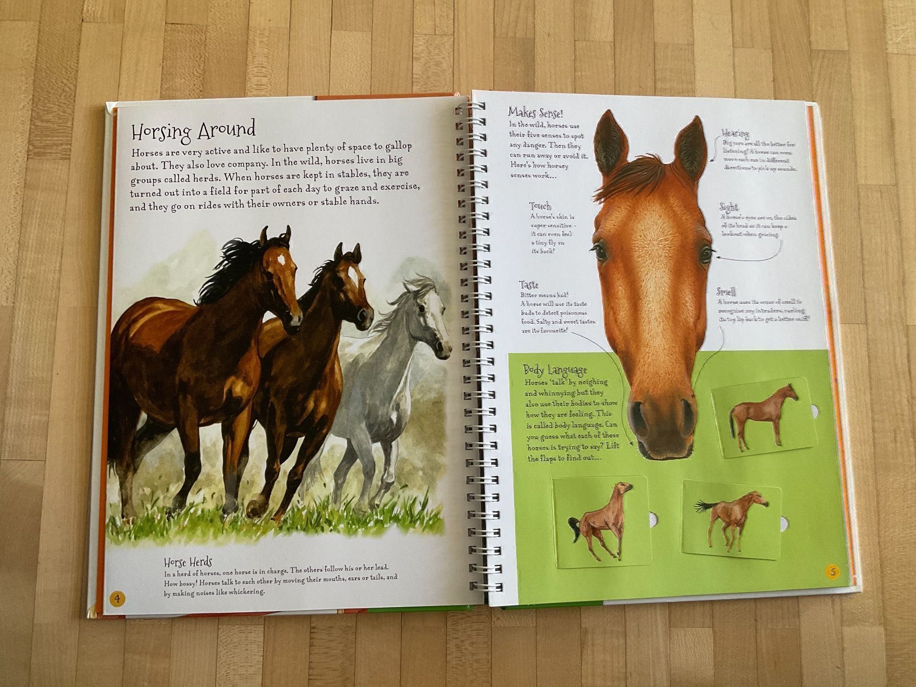 Libri: Ponies and horses – Usato da Winterthur venduto da aionila 2