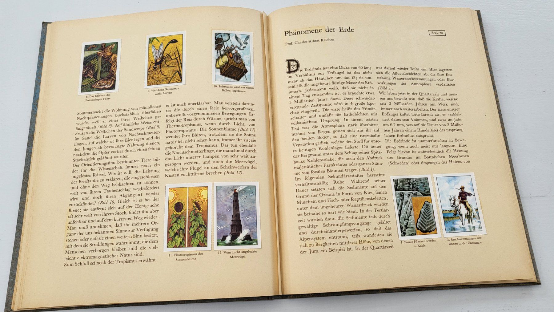 Bücher: Buch – Gebraucht aus Magden von Pierre26 2
