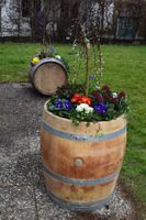 Hochbeet aus Weinfass f. Blumen, Kräuter