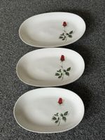 Servierplatten Mitterteich Bavaria Rosen Dekor oval